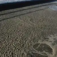 الحمأة
